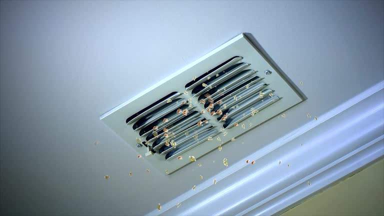 Best Residential Air Duct Cleaning  in Mcrae Helena, GA